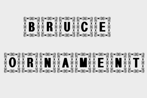Bruce Ornament: A Decorative Typeface for Elegant Web Design